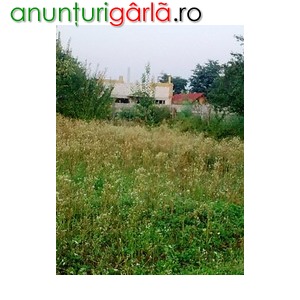 Imagine anunţ Teren intravilan -10 km de Bucuresti