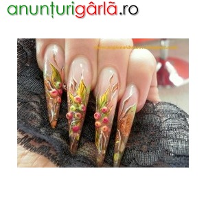 Imagine anunţ Unghii false brasov angie nails