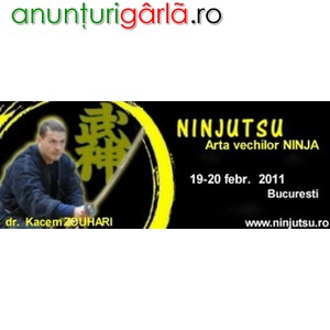 Imagine anunţ Arta vechilor ninja - curs arte martiale dr. kacem zoughari, bucuresti 19-20.febr.