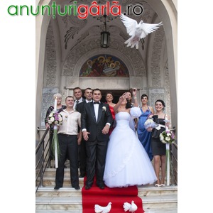 Imagine anunţ INchiriez porumbei albi pt nunti de vis