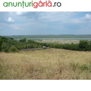 Imagine anunţ Teren in Delta Dunarii