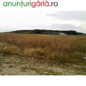Imagine anunţ vand teren intravilan in Corbeanca-Tamasi