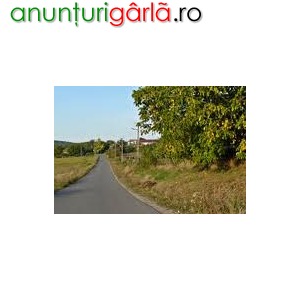 Imagine anunţ teren intravilan zona Pausa (20km de Oradea)