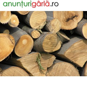 Imagine anunţ lemn de foc ieftin