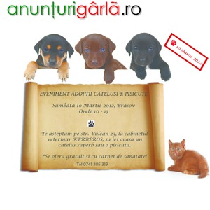 Imagine anunţ Eveniment Adoptii Catelusi!