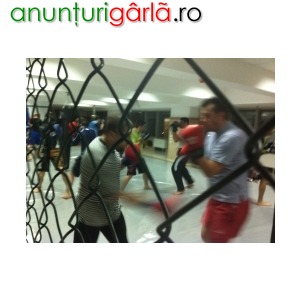 Imagine anunţ Sala noua de Brazilian Jiu Jitsu si MMA in Bucuresti