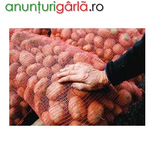 Imagine anunţ cartofi, morcovi