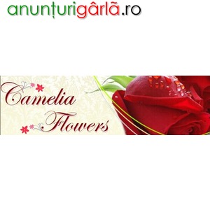 Imagine anunţ Camelia Flowers Oradea