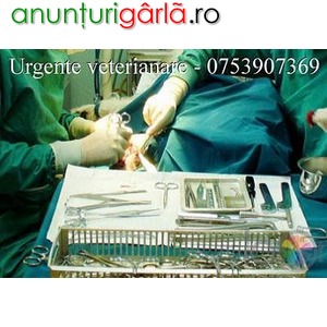Imagine anunţ Urgente Veterinare - cabinet veterinar Ilfov-Bucuresti