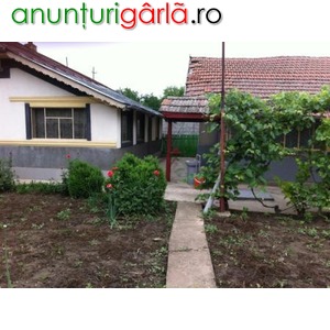 Imagine anunţ Vand casa in Mitreni-Calarasi