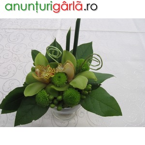 Imagine anunţ Floraria Amaryllis by Laura