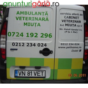Imagine anunţ Ambulanta veterinara Bucuresti