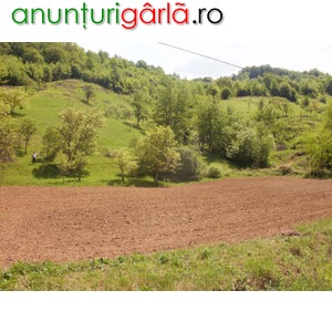 Imagine anunţ Vand teren intravilan in Vata de Sus, Hunedoara