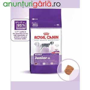 Imagine anunţ Royal Canin Giant Junior 265lei