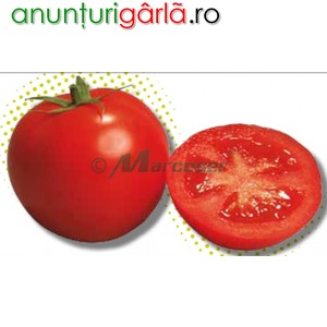 Imagine anunţ Seminte de tomate - Izmir F1