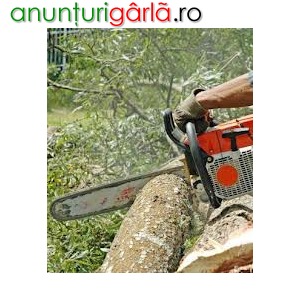 Imagine anunţ Domeniul forestier (taierea si prelucrarea lemnului) /1000 euro