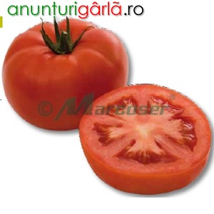 Imagine anunţ Seminte de tomate Minaret F1