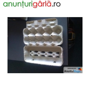 Imagine anunţ Caserole oua de gaina