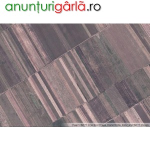 Imagine anunţ Cumpar teren agricol in jud Olt
