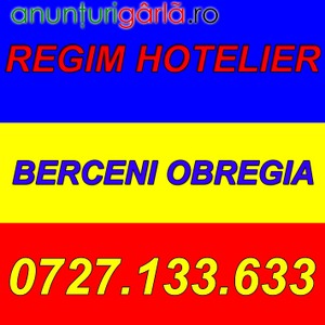 Imagine anunţ APARTAMENT/GARSONIERA REGIM HOTELIER BERCENI