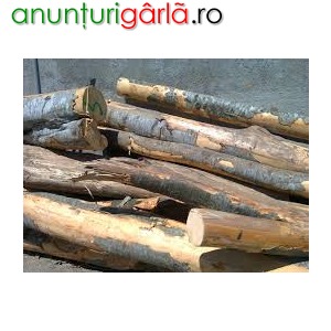 Imagine anunţ Vand lemne de foc