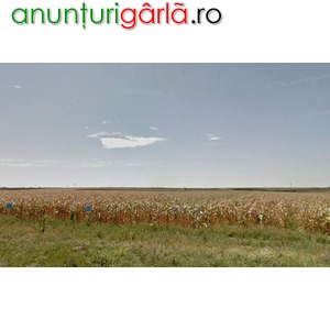 Imagine anunţ Cumpar Padure si Teren Agricol