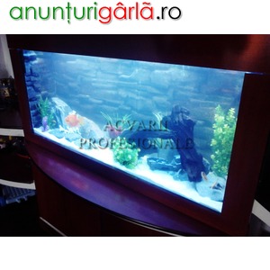 Imagine anunţ oferte acvarii de decor restaurante, hoteluri