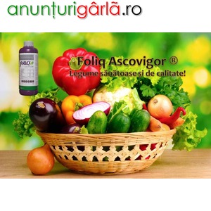 Imagine anunţ Biostimulator de crestere cu extract de alge – Foliq Ascovigor