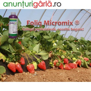 Imagine anunţ Cel mai bogat ingrasamant foliar cu microelemente – Foliq Micromix
