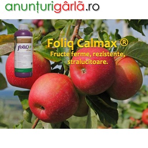 Imagine anunţ Ingrasamant foliar bogat in Calciu si Magneziu – Foliq Calmax