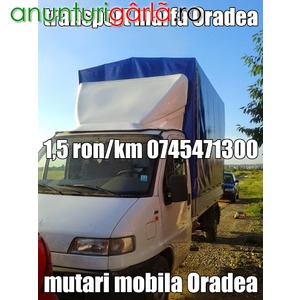 Imagine anunţ Transport mobila mutari oradea