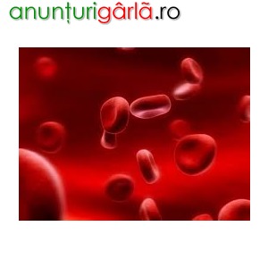 Imagine anunţ Furnizam hemoglobina pentru furaje si nutreturi
