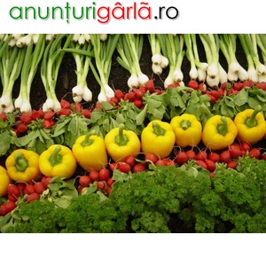 Imagine anunţ Hale la ambalat fructe, legume si flori in Germania/1400 euro