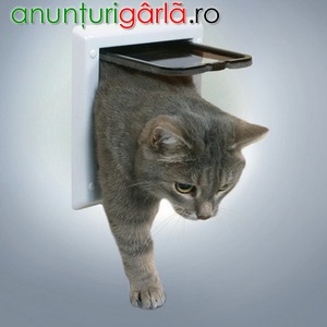 Imagine anunţ usi pisica in stoc livrare imediat