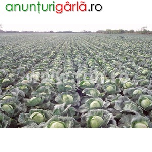 Imagine anunţ Agricultura Germania 1400 euro