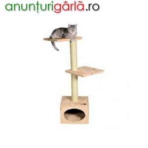 Imagine anunţ Cel mai mic pret garantat Ansamblu pisici