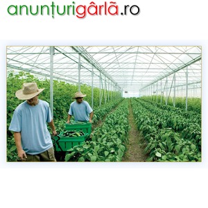 Imagine anunţ Munca Agricultura Germania 1400 euro