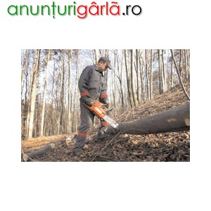 Imagine anunţ Muncitori forestieri Austria 1600 euro