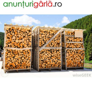 Imagine anunţ Muncitori forestieri Germania 1600 euro