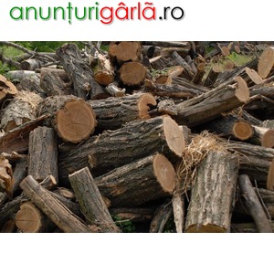 Imagine anunţ vindem lemne de foc