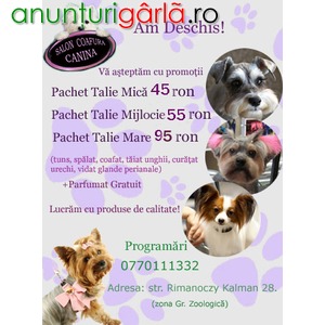 Imagine anunţ Salon Coafura Canina Oradea