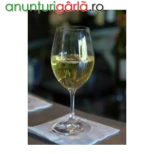 Imagine anunţ Vin Feteasca alba si Sauvignon Blanc 5 lei