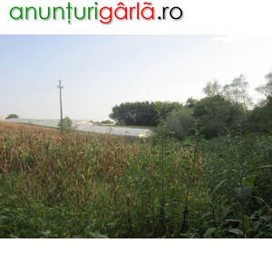 Imagine anunţ Teren agricol 2,501 mp, Curcubeu, Prahova