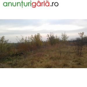 Imagine anunţ Teren agricol 3984 mp, Balta Doamnei, Prahova