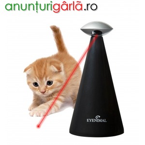 Imagine anunţ jucarie laser, pentru pisici