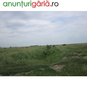 Imagine anunţ Teren 29,200 mp, agricol, Ciocanesti, Dambovita