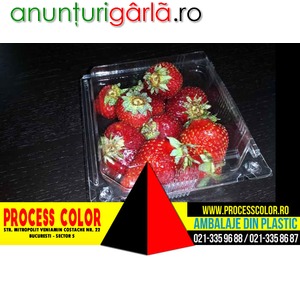 Imagine anunţ Caserole Plastic Pentru Capsuni Process Color