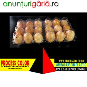 Imagine anunţ Caserole oua gaina Process Color