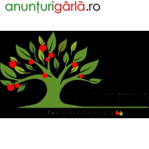 Imagine anunţ Pomi fructiferi certificati - Pepiniera Pom Fruct Aiud