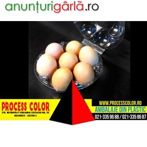 Imagine anunţ Caserole oua gaina 7 compartimente Process Color